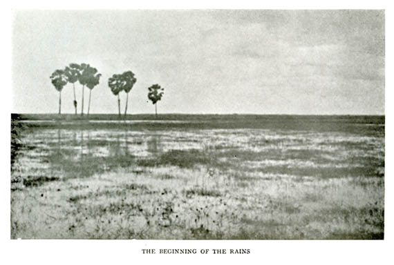 04_the_beginning_of_the_rains